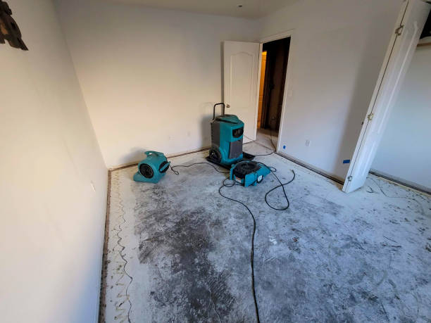 Best Fire Damage Restoration  in Midland, NC