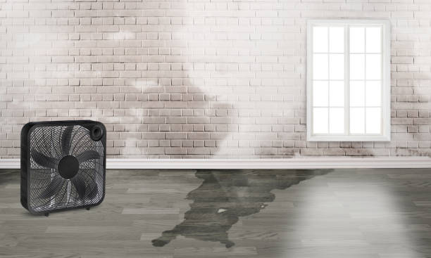 Best Flood restoration services  in Midland, NC